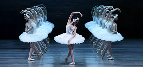 Swan Lake in NOVAT